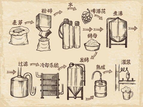 關于啤酒的知識，看這一文就夠了